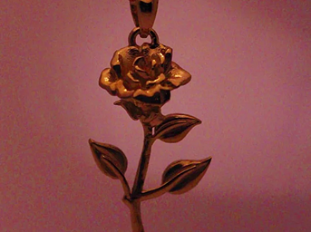 La Rosa