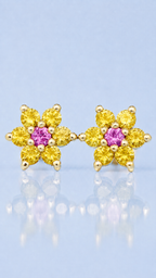 Flower Set Earrings