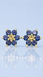 Flower Set Earrings